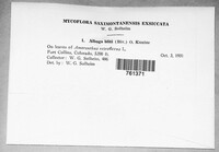 Image Associated With the Occurence